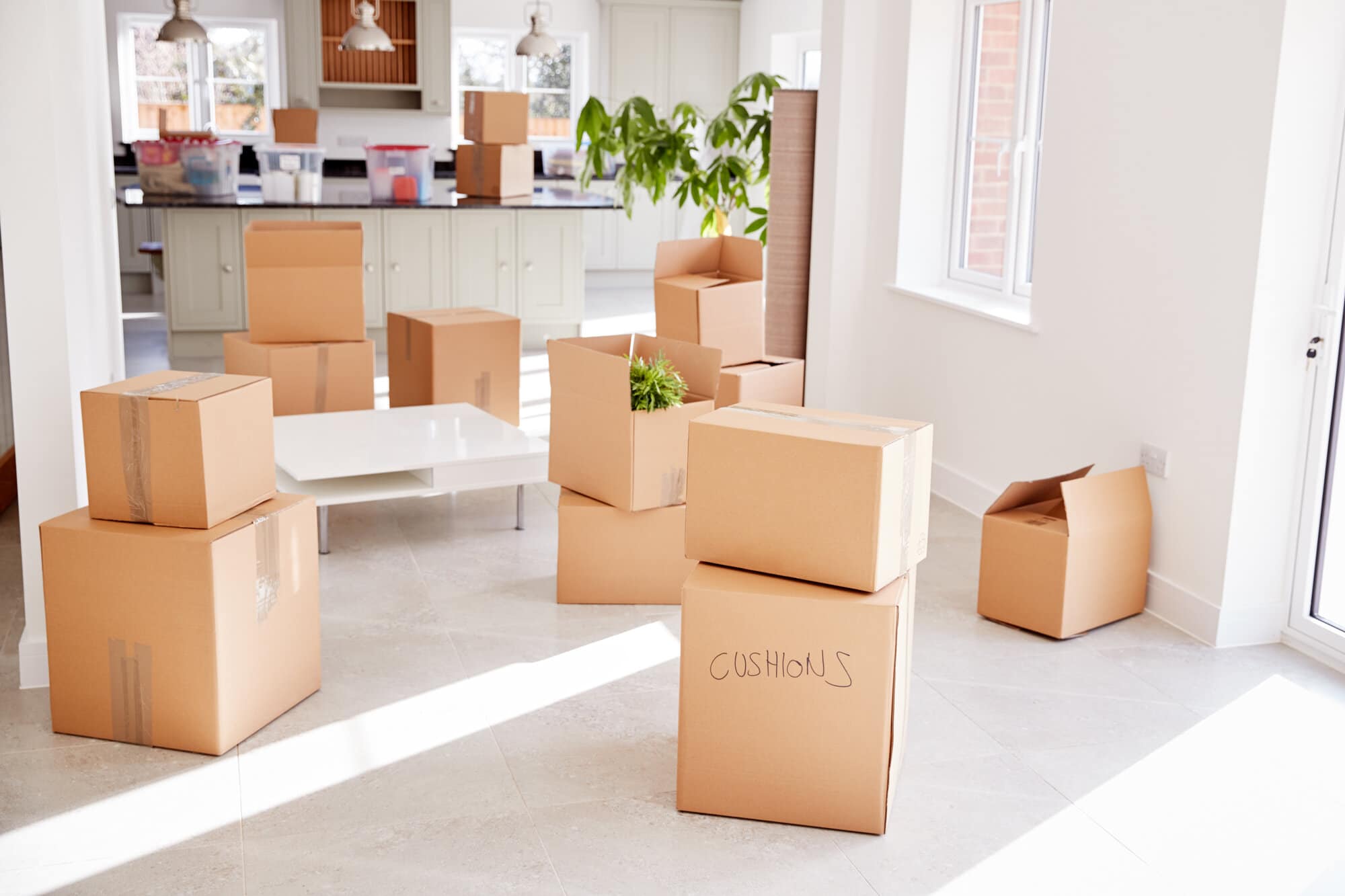 Beyond Boxes: Crafting Tailored Moves with Our Skilled Moving Crew